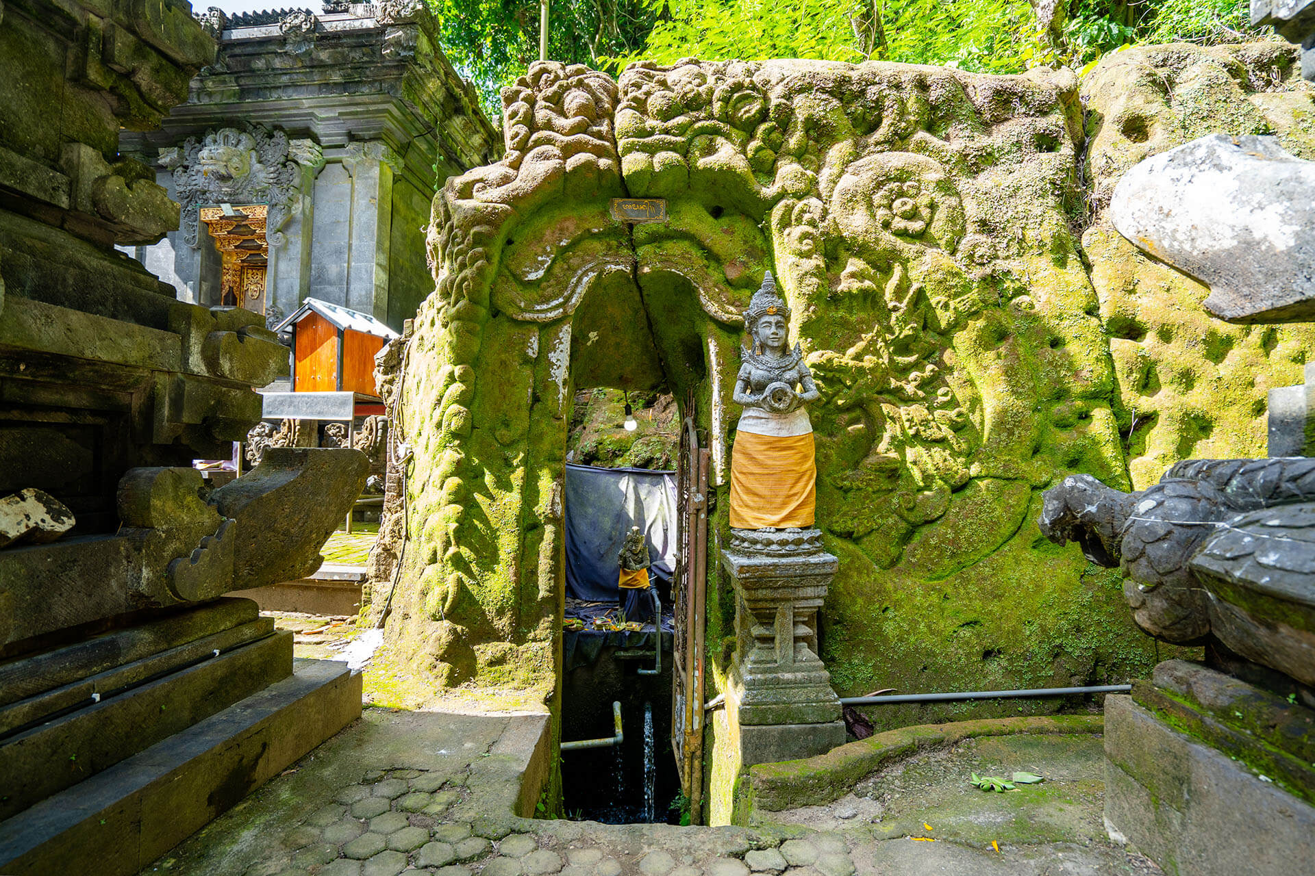 Aktivitas Masyarakat